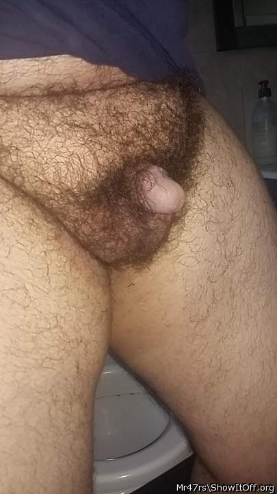 Should  I  shave or stay  hairy? ??