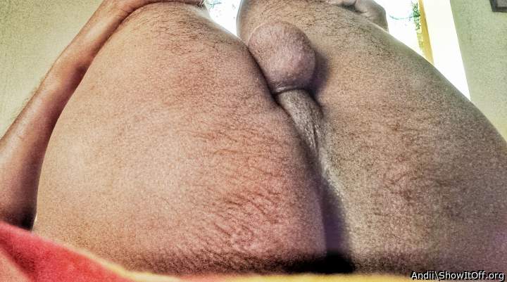 Photo of Man's Ass from Andii