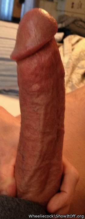 Photo of a dong from Wheeliecock