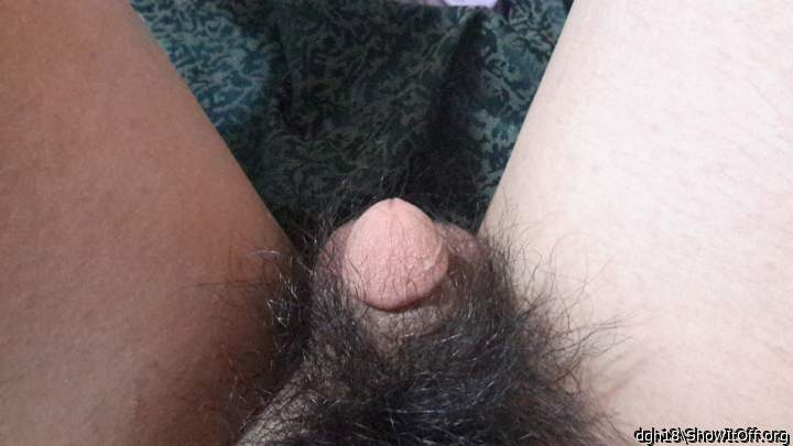 Photo of a penile from dgh18