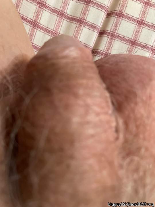 Photo of a middle leg from bigguy32