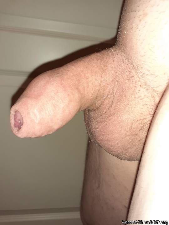 Nice natural cock  