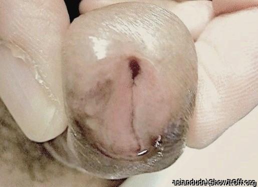 Spread opened Asian Piss Slit...