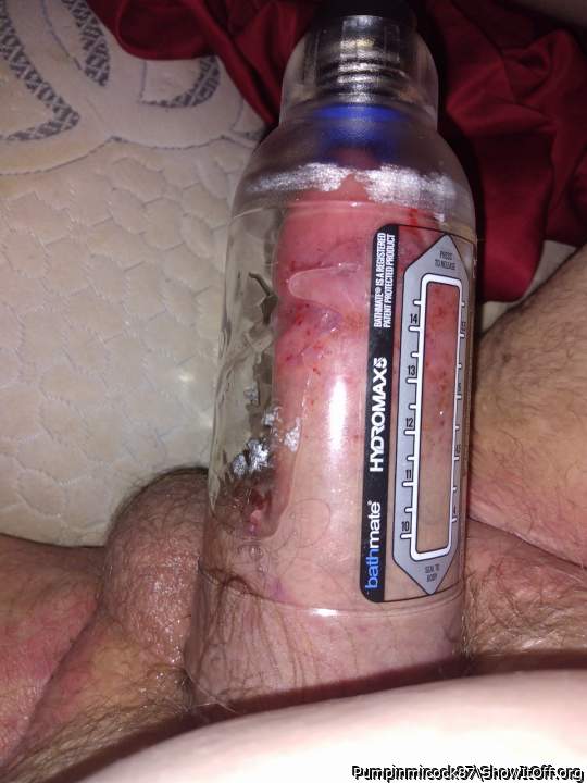 Photo of a bat from Pumpinmicock87