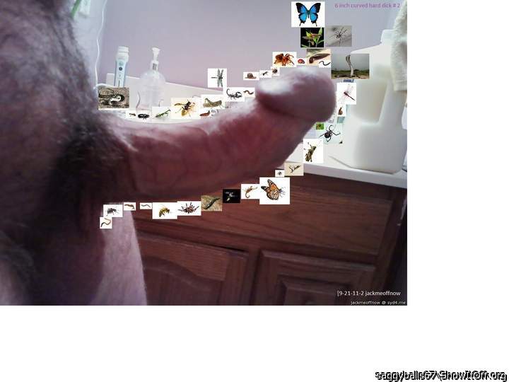 Horny dick bugs & snakes ready to strike art - [9-21-11-2]