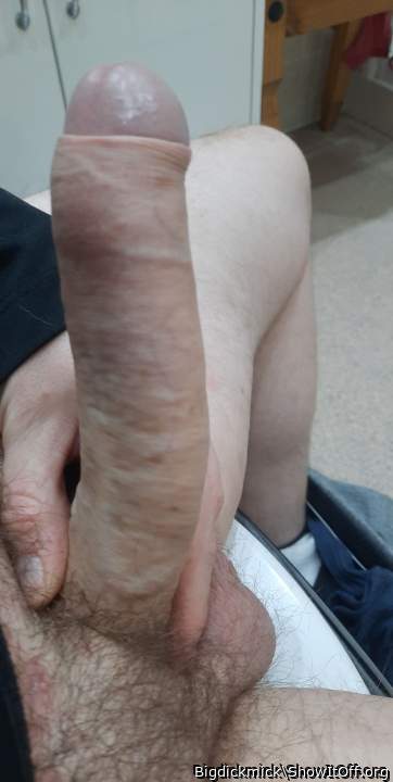 Photo of a phallus from Bigdickmick