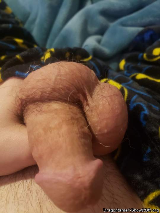 Photo of a short leg from Dragontamer