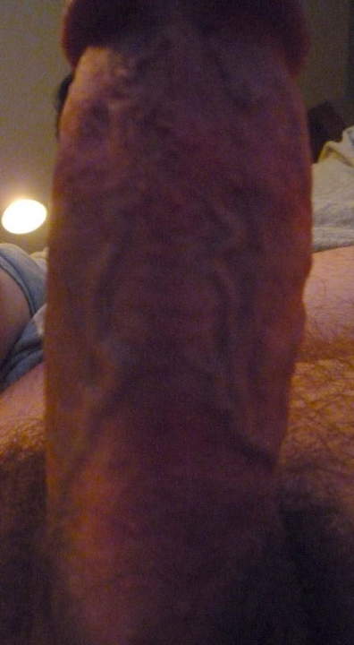 Let me ride your stiff cock 