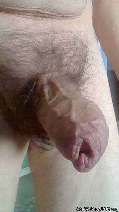 Love to lick and suck it