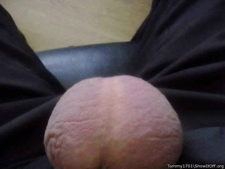 Testicles Photo from Tommy1701