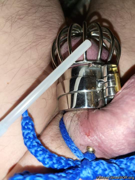 ballscage 2