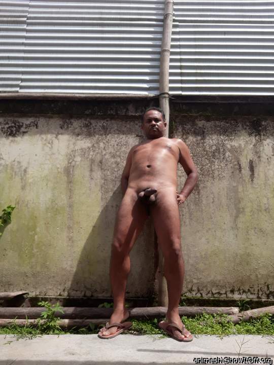 Photo of a ram rod from Animesh