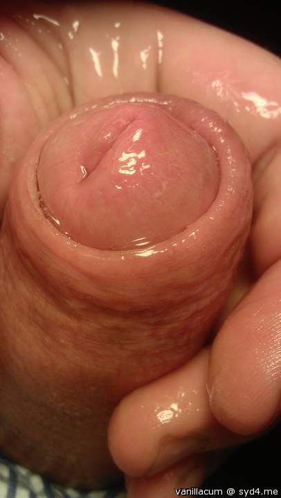Photo of a third leg from Vanillacum
