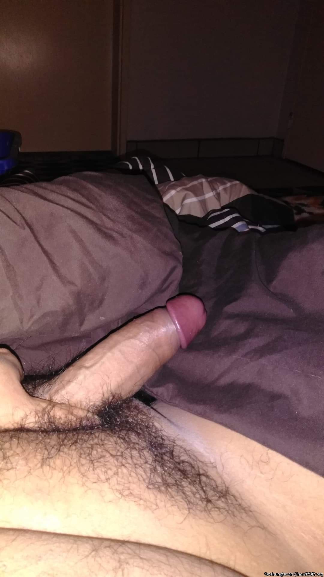 Photo of a dong from Onehungtexan