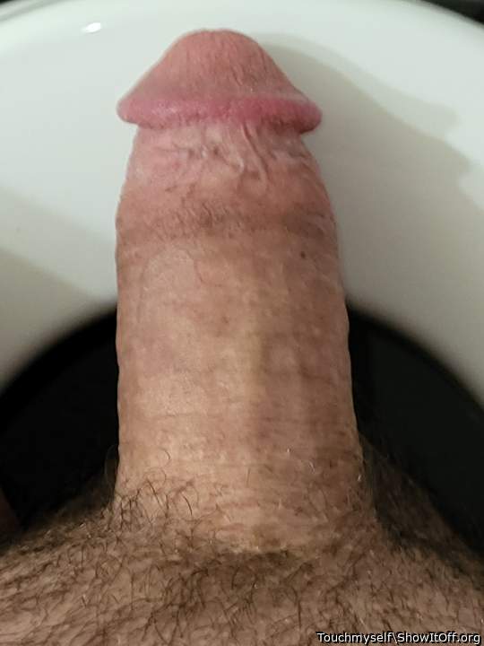 Photo of a cavalier from Touchmyself