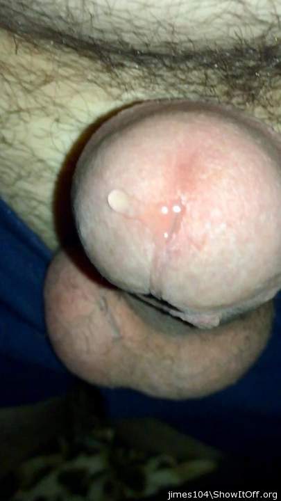 Photo of a bald-headed mouse from jimes104