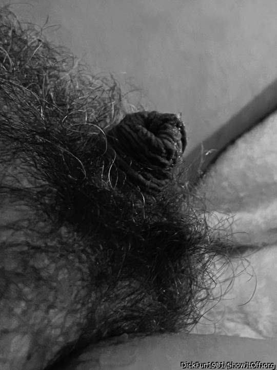 Photo of a bat from DickFun1981