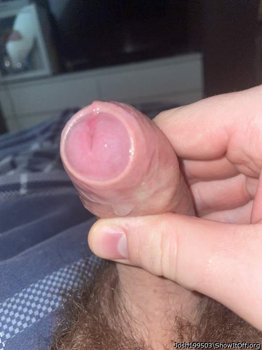 Photo of a wiener from Josh199503