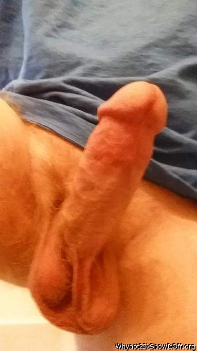 Photo of a horn from Whynot23