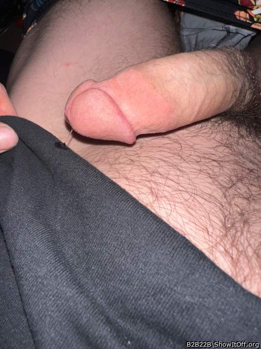 Photo of a dick from B2B22B