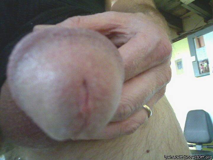 Photo of a horn from bwhackitt
