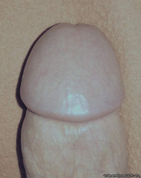 Nice glans tip 