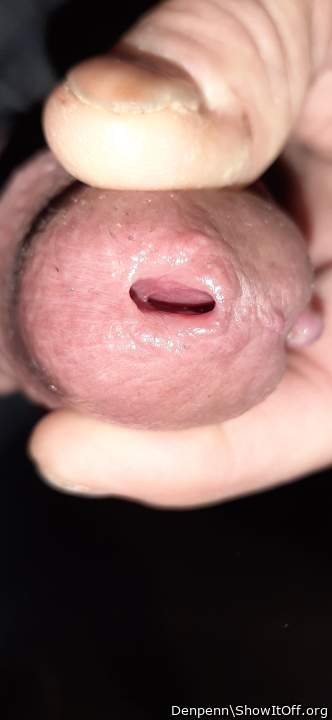 Adult image from Denpenn
