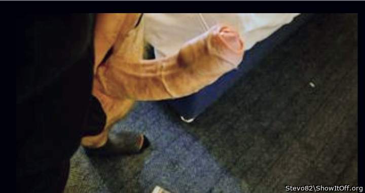 Photo of a bat from Stevo82