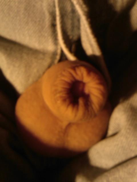 Photo of a power tool from yardog319
