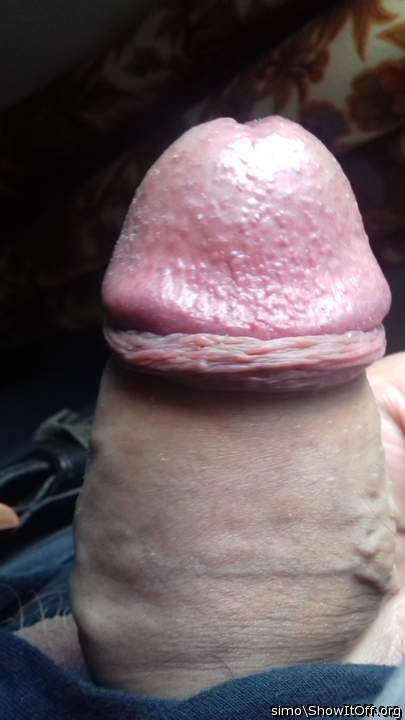 Hot cock and foreskin