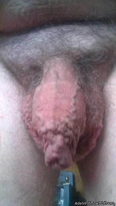 Love your dick please let me suck it.  