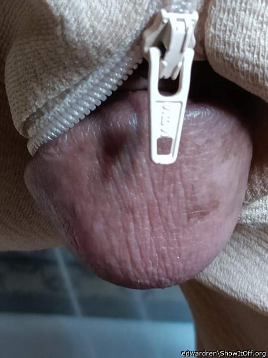 Photo of a lizard from edwardren