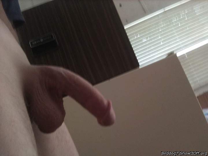 Photo of a ram rod from Birddog7