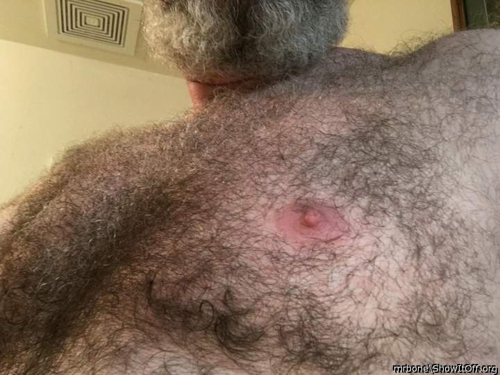 Hairy bear!