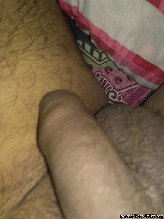 Photo of a weasel from pavan