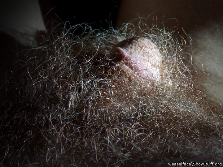 now that is what you call "hiding in the bush" 