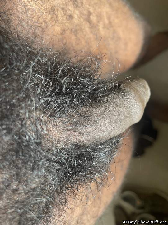 Need a trim