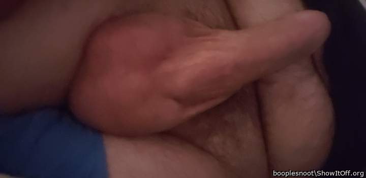 Photo of a horn from booplesnoot