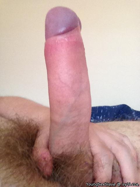 Morning wood