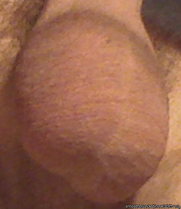 Yum, yum, scrotum!   