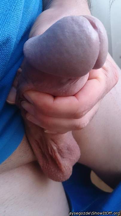 Photo of a middle leg from aysegozde
