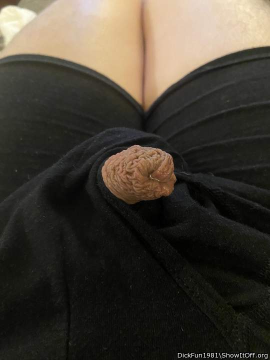 Photo of a pecker from DickFun1981