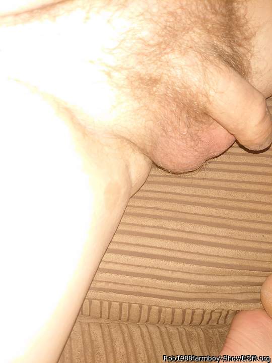 Testicles Photo from Rob1988farmboy