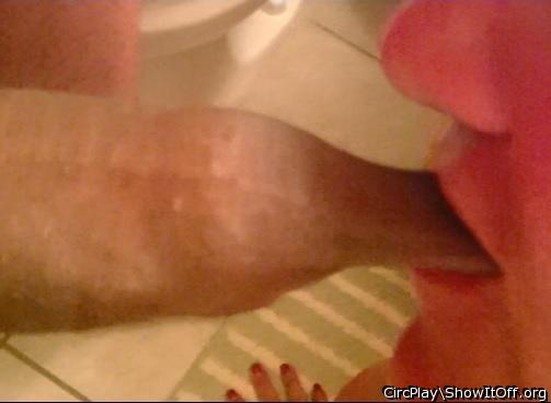 Adult image from CircPlay