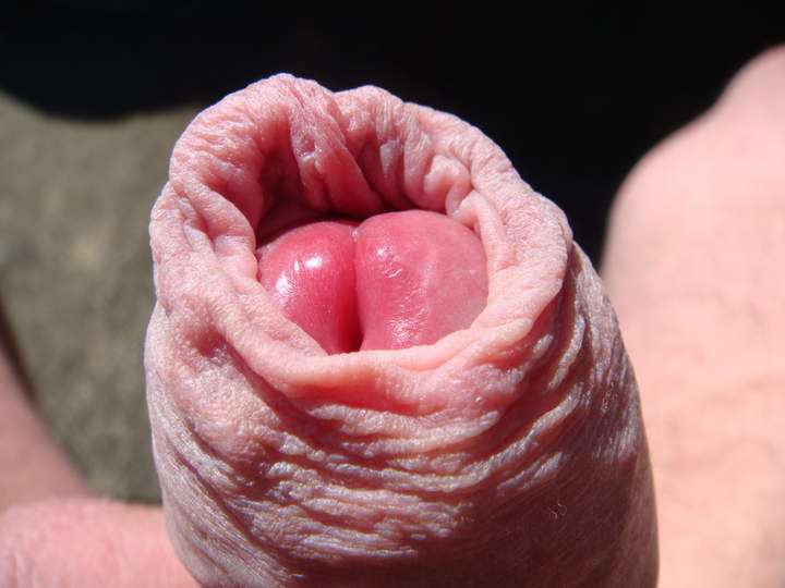 what a precious foreskin!   