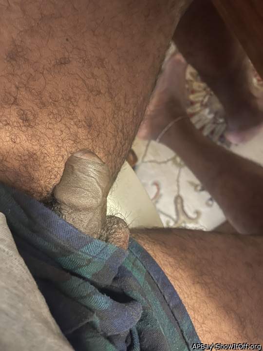 Like the sun on my dick