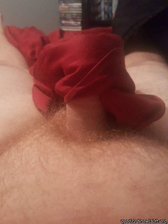 Photo of a weasel from good22