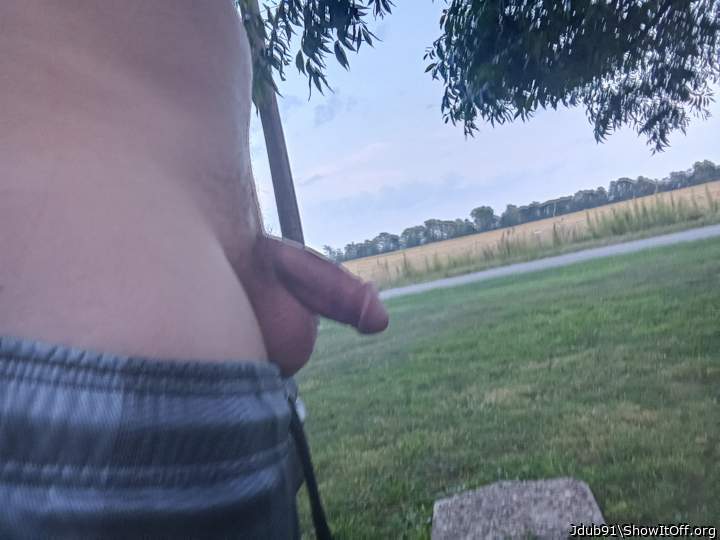 Cock outside
