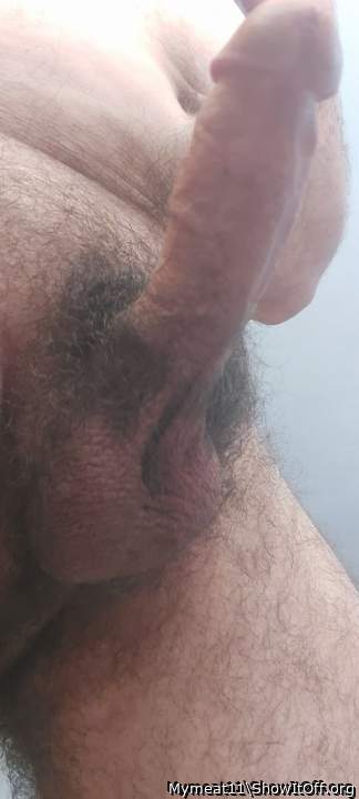 Photo of a boner from Mymeat11