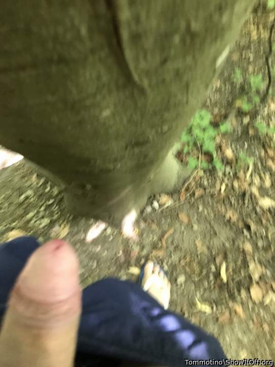 Near a tree